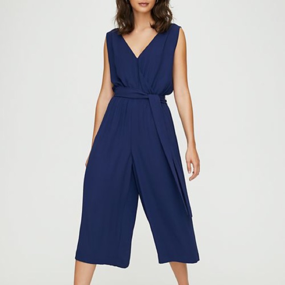 EUC aritzia babaton maximillian jumpsuit